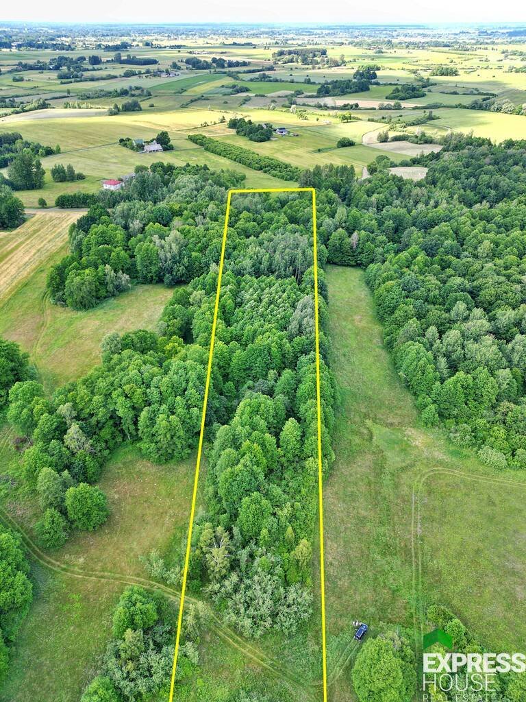 Działka leśna na sprzedaż Świerszczów  17 281m2 Foto 1