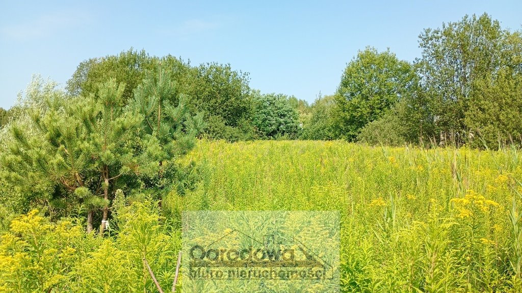 Działka 3088 m² w Kamionce, MPZP, las - polecam! Kamionka  3 088m2 Foto 1