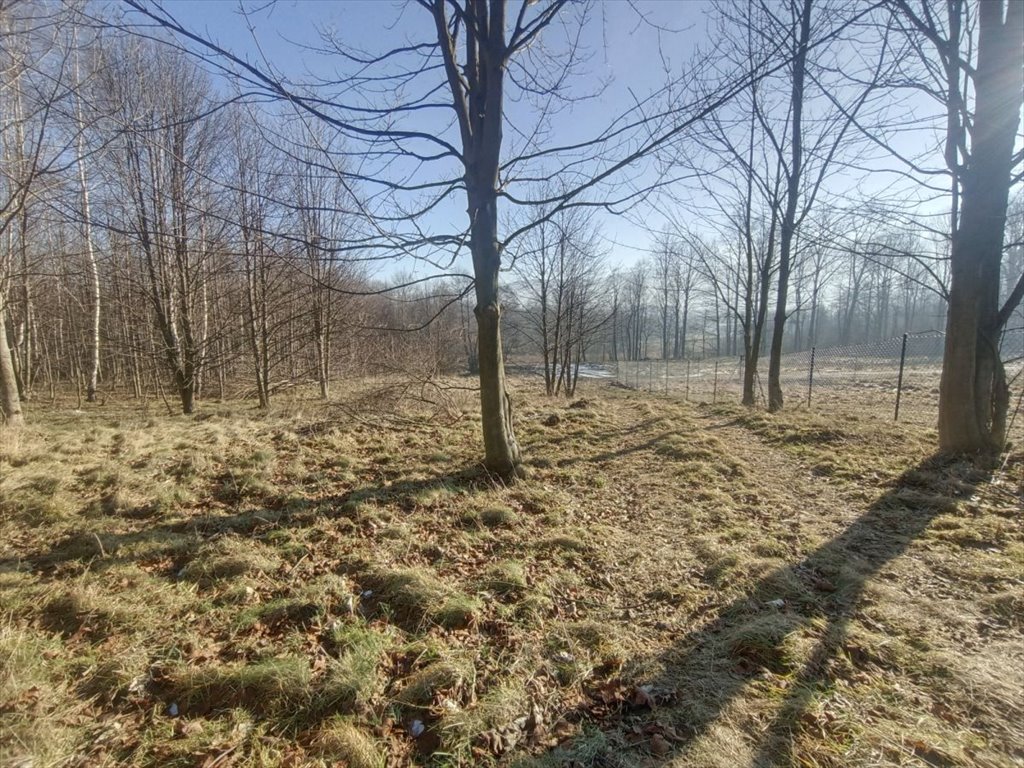 Działka budowlana na sprzedaż Piechowice, Łąkowa  1 300m2 Foto 3