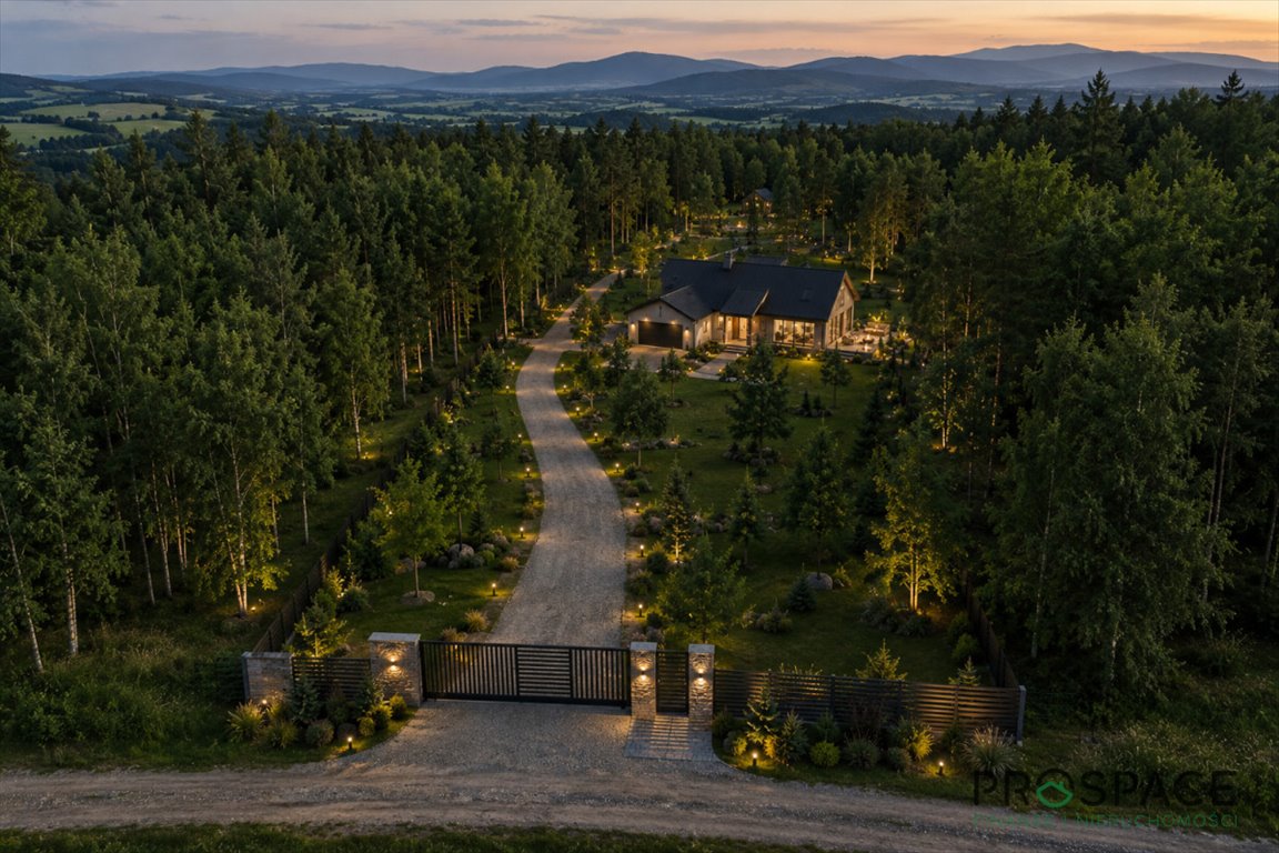 Do sprzedania urokliwa działka 8 004 m² z lasem i mikroklimatem Kopaniec  8 004m2 Foto 1