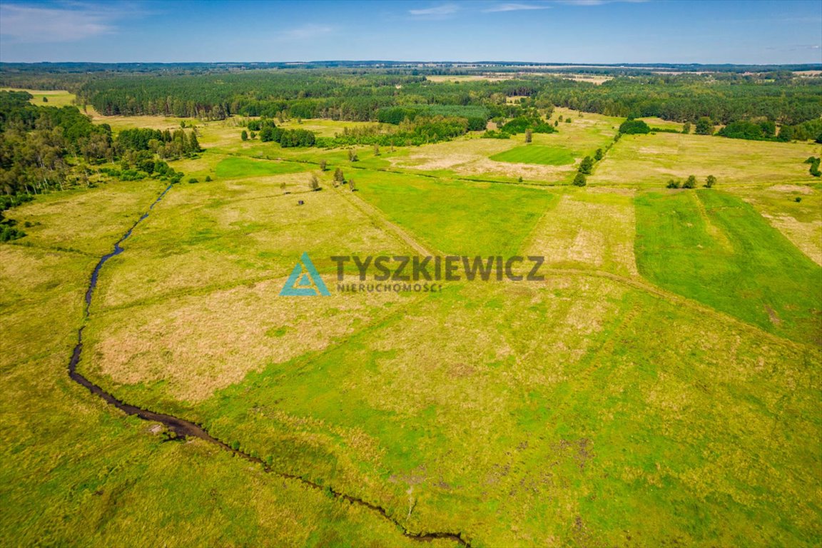 Działka rolna na sprzedaż Poborowo  9 200m2 Foto 4