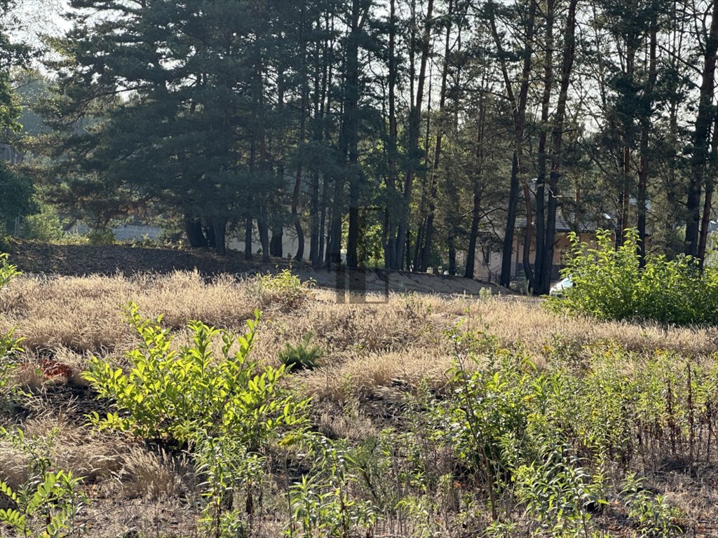 Działka budowlana na sprzedaż Otwock  1 200m2 Foto 3