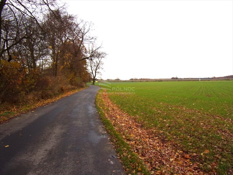 Lokal użytkowy na sprzedaż Golnice 200 000m2 Foto 1 Lokal użytkowy na sprzedaż Golnice 200 000m2 Foto 1