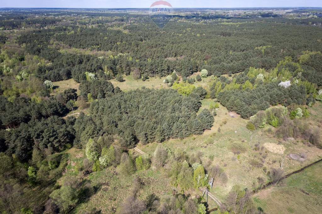 Działka leśna z prawem budowy na sprzedaż Skrzeszew, Olszankowa  23 411m2 Foto 17