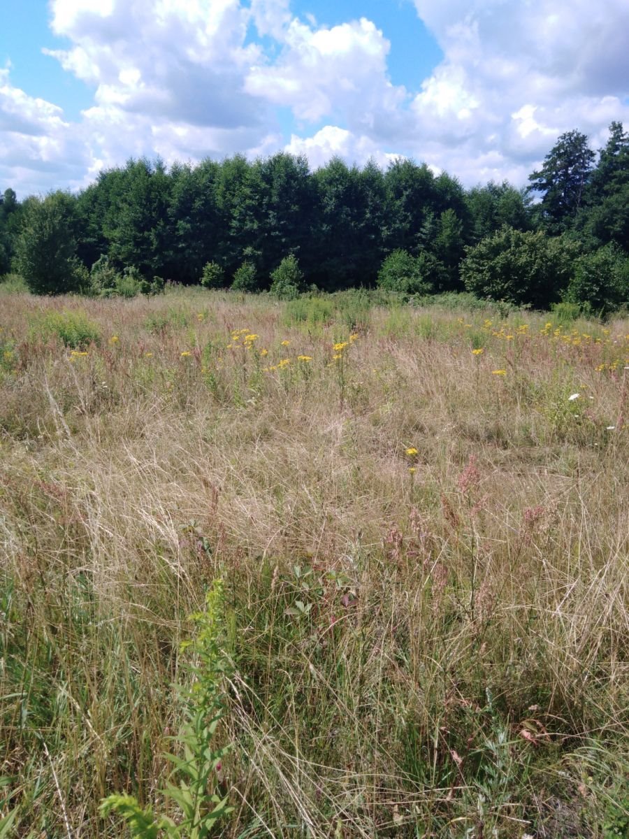 Działka budowlana na sprzedaż Zaścianki  2 499m2 Foto 1