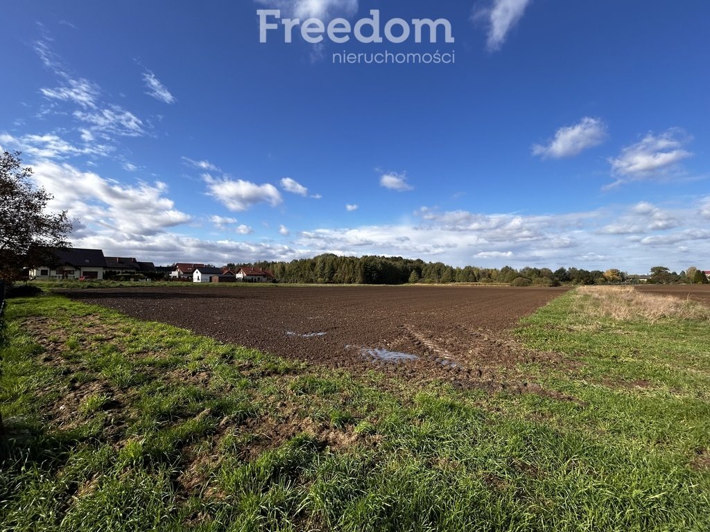 Działka rolna na sprzedaż Polanka Wielka, Spacerowa  5 488m2 Foto 6