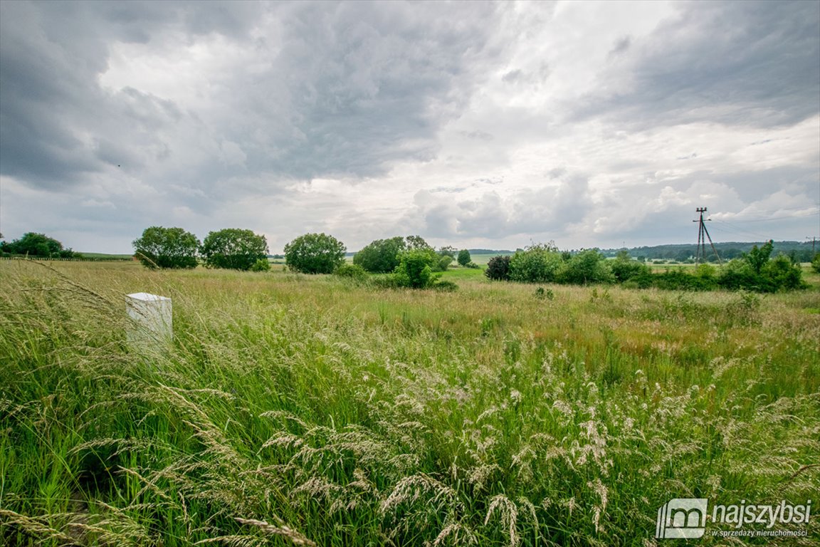 Działka rolna na sprzedaż Barwice, miasto  3 004m2 Foto 4