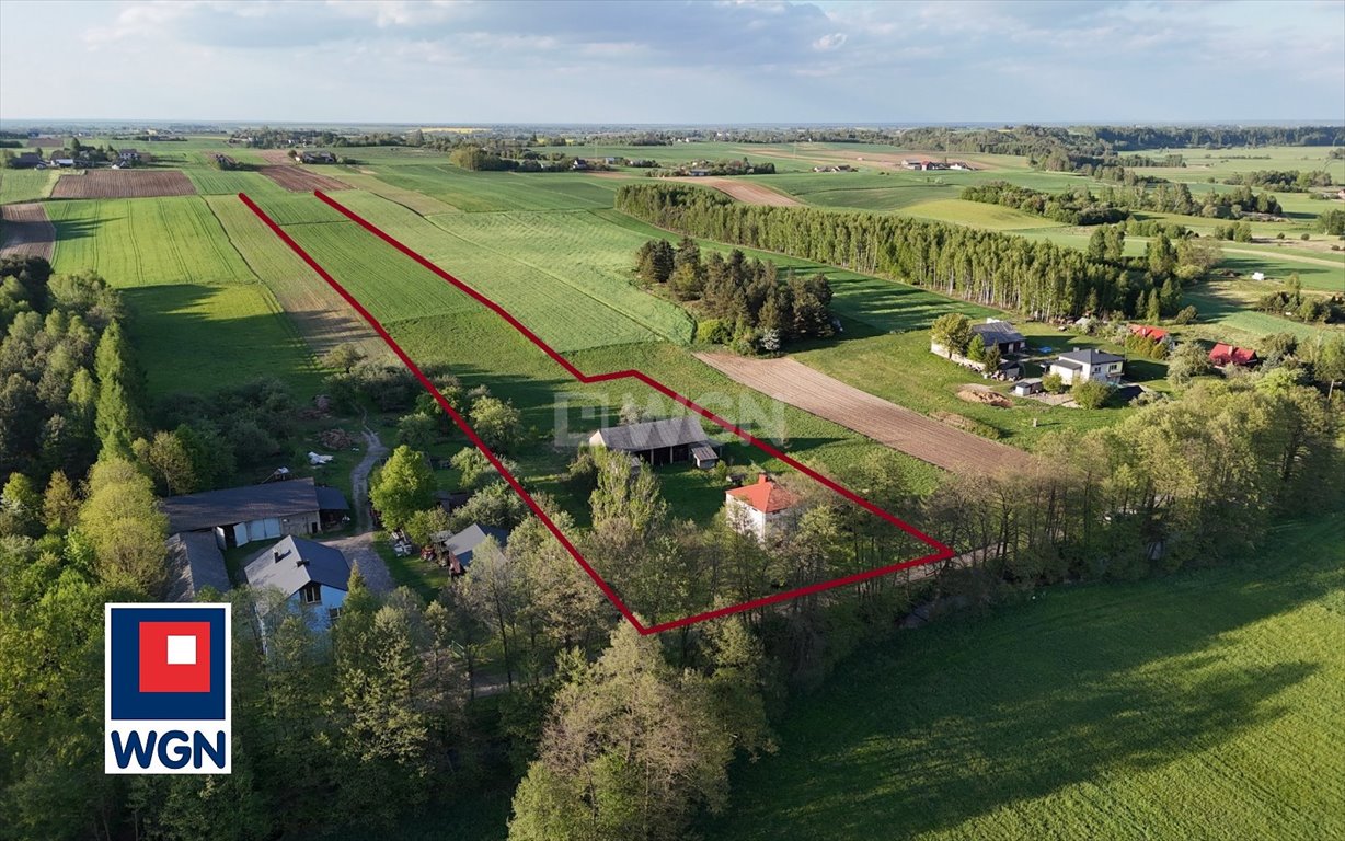 Sprzedam siedlisko 150 m² z dużą stodołą i rzeką Białka Wilków, Wilków  150m2 Foto 1