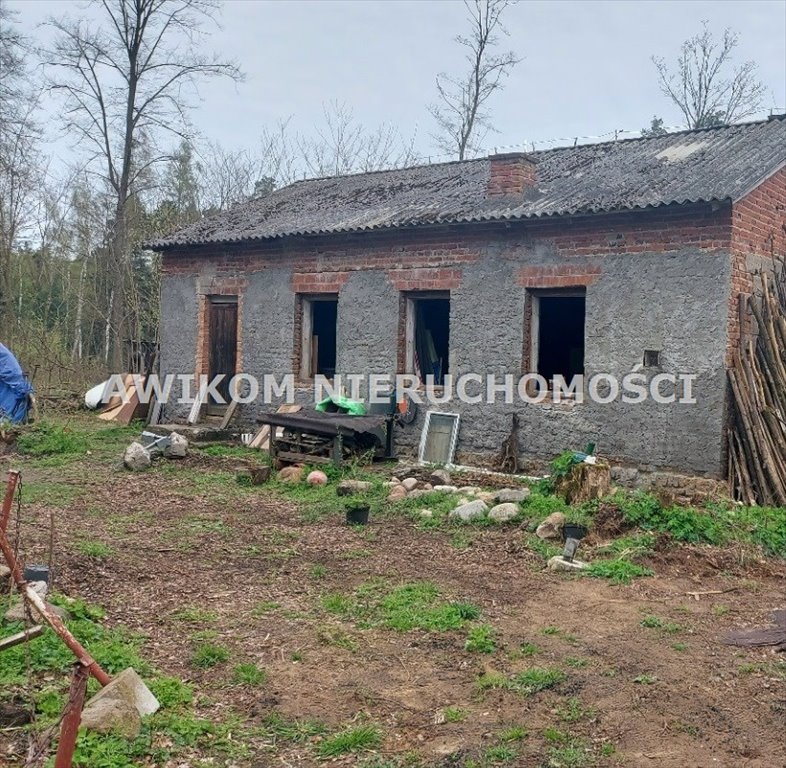 Działka leśna z możliwością zabudowy, 3 167 m² Joachimów-Mogiły  3 167m2 Foto 1
