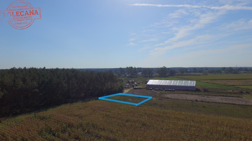 Działka budowlana na sprzedaż Dziersławice  1 000m2 Foto 1