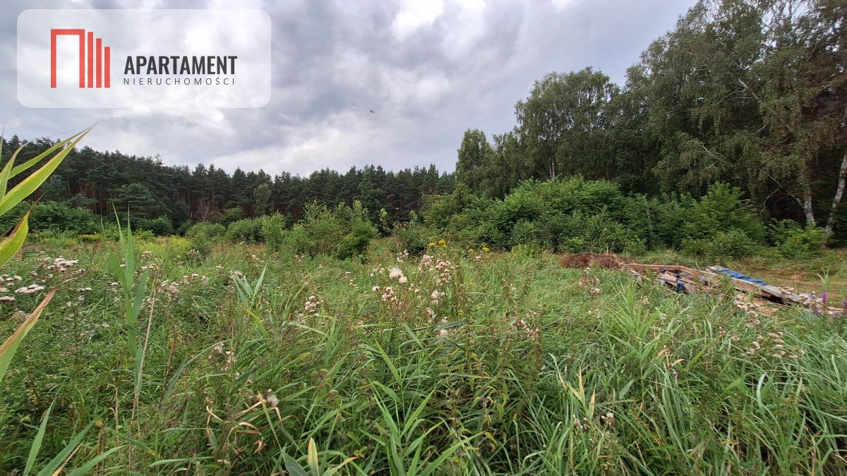 Działka gospodarstwo rolne na sprzedaż Białe Błota  3 014m2 Foto 5