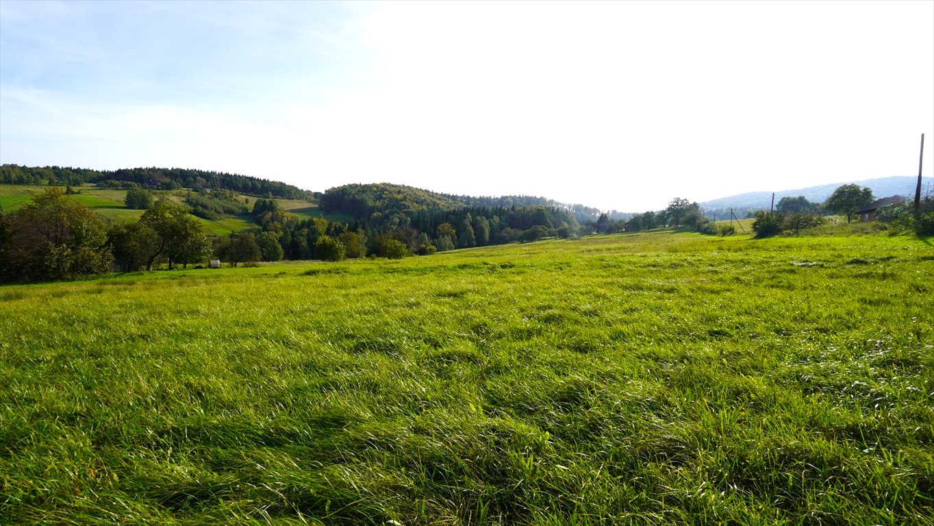 Działka rolna na sprzedaż Szymbark  8 222m2 Foto 1