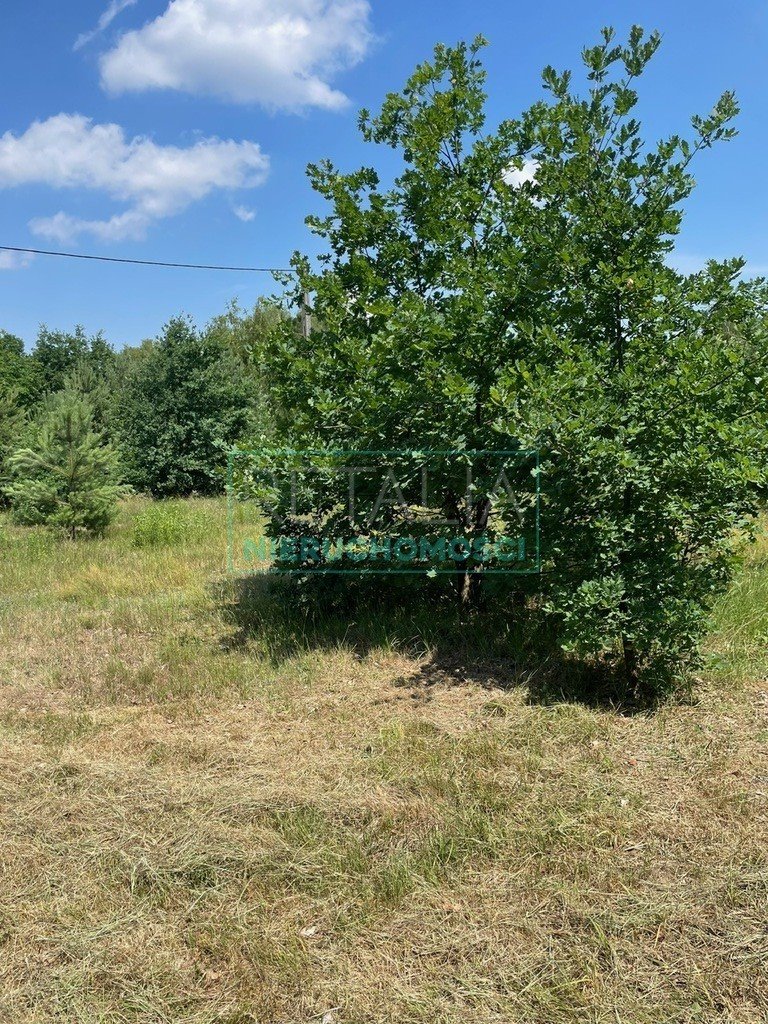 Działka budowlana na sprzedaż Mościska  8 500m2 Foto 16