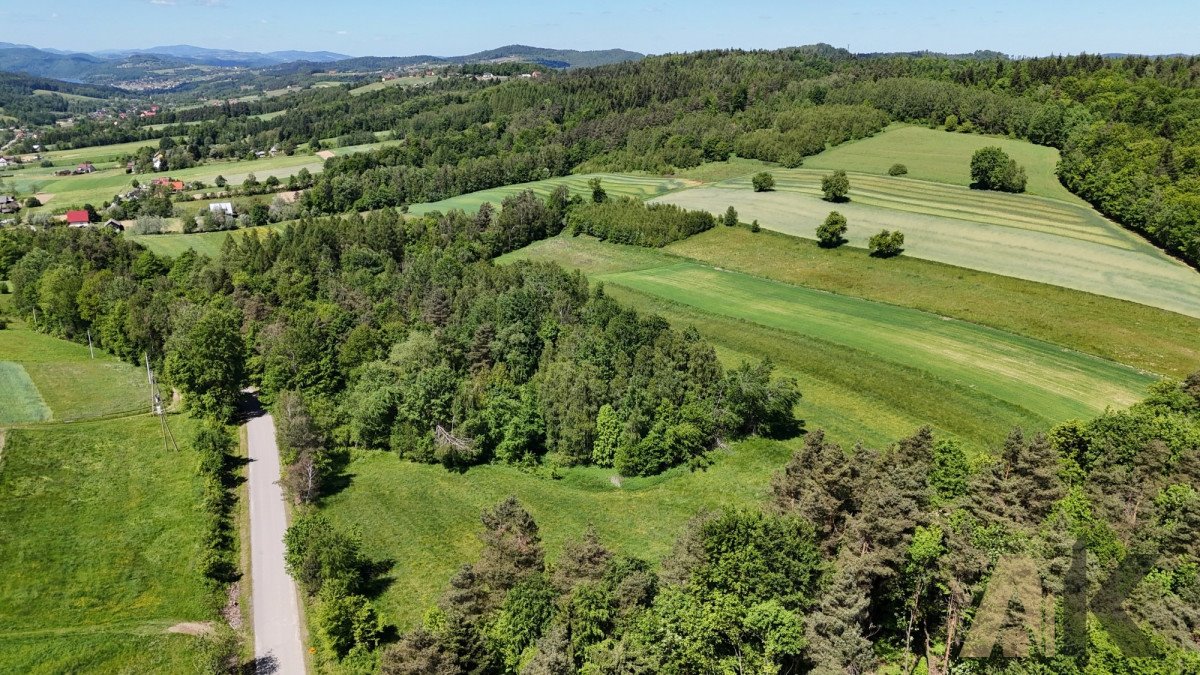 Działka budowlana na sprzedaż Podole-Górowa  4 000m2 Foto 11