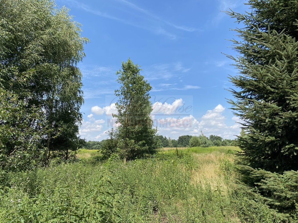 Działka budowlana na sprzedaż Nowy Wilków  3 441m2 Foto 3