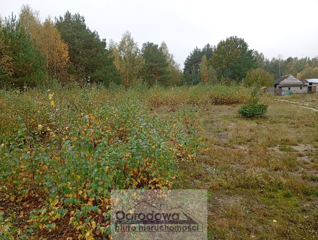 Działka 1353 m² z warunkami zabudowy - las i szybki dojazd Olesin  1 353m2 Foto 1
