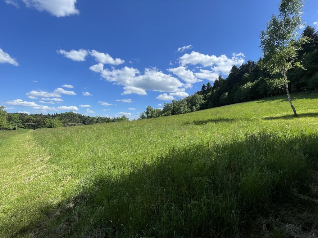 Działka budowlana na sprzedaż Korczyna, Dolińska  16 060m2 Foto 2