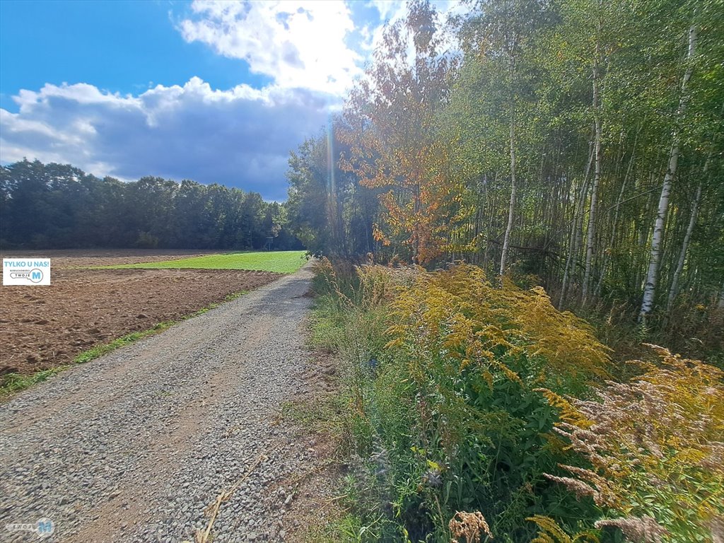 Działka rolna z możliwością zabudowy w Sędku, 8 879 m² Łagów, Sędek  8 879m2 Foto 1