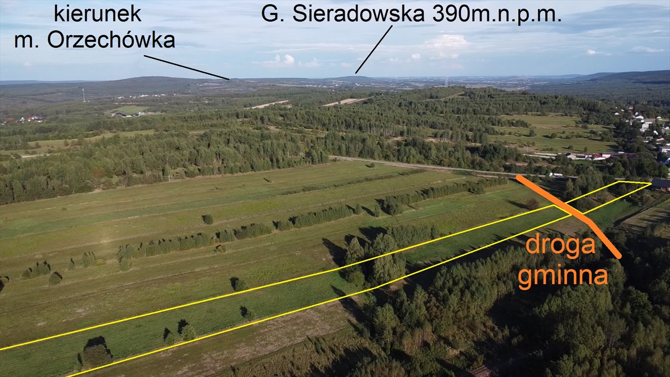 Działka siedliskowa na sprzedaż Czerwona Górka  27 100m2 Foto 7