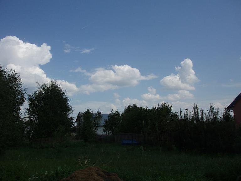 Działka rolna na sprzedaż Stare Babice, Borzęcin Duży  1 000m2 Foto 1