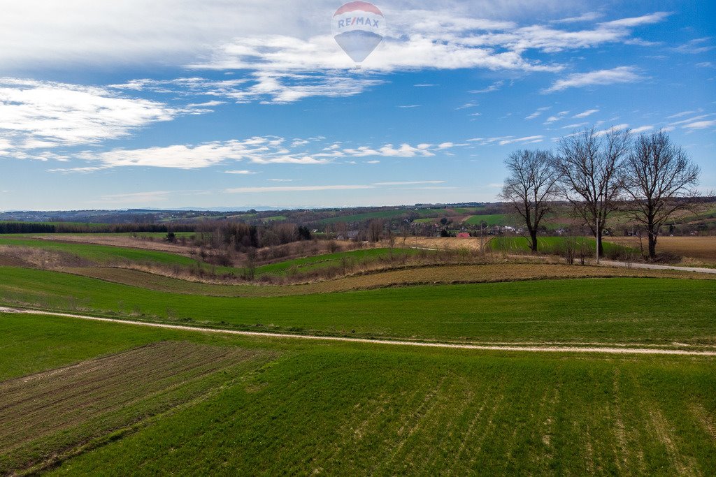 Działka budowlana na sprzedaż Grzegorzowice Wielkie  3 200m2 Foto 3