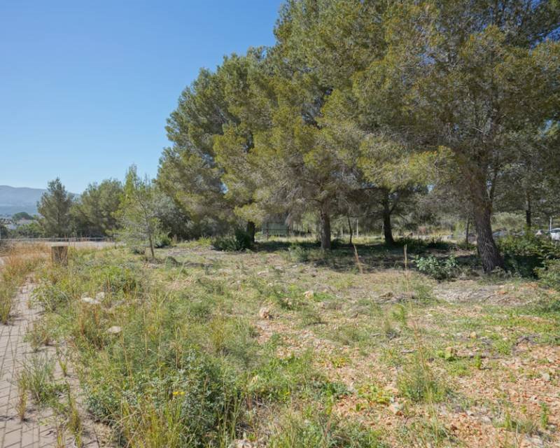 Działka budowlana na sprzedaż Hiszpania, Javea, Hiszpania, Javea  1 500m2 Foto 4