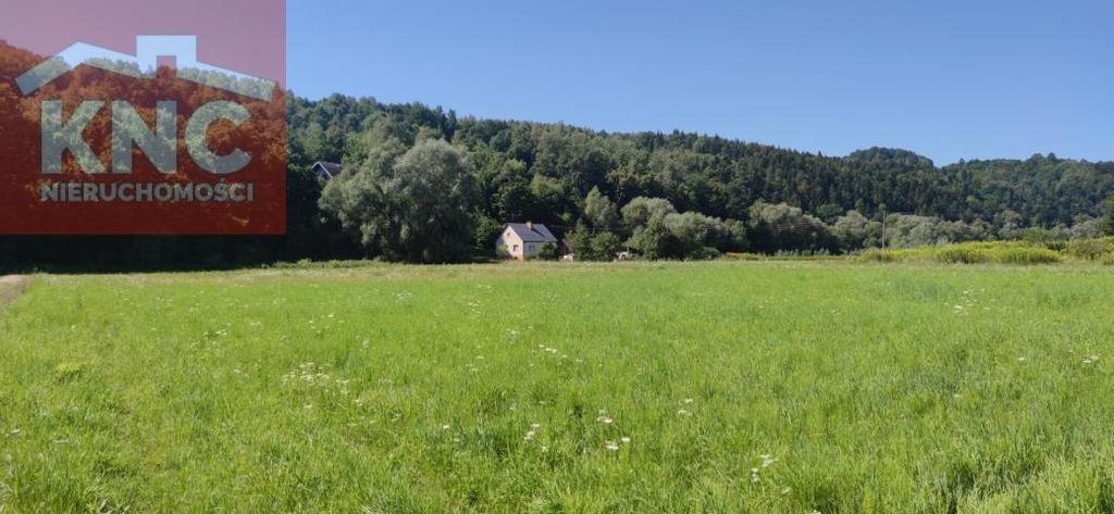 Działka budowlana na sprzedaż Rożnów  1 600m2 Foto 6