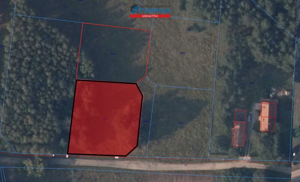 Działka budowlana na sprzedaż Czechyń  1 699m2 Foto 5