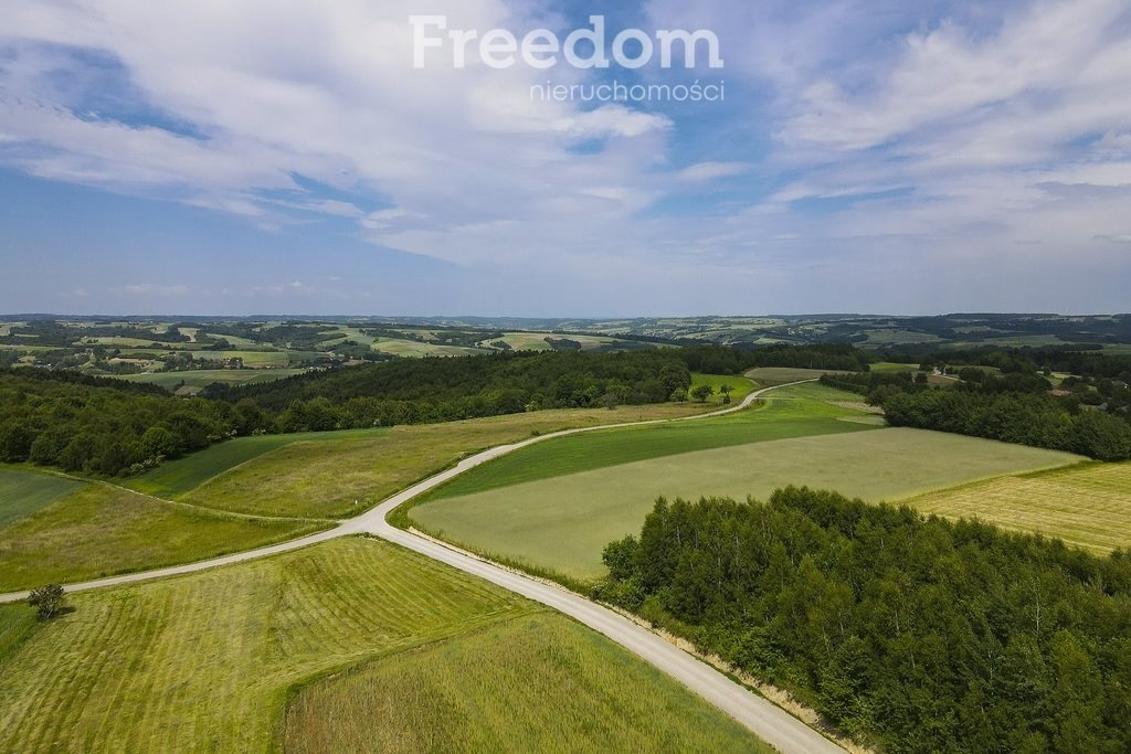 Działka budowlana na sprzedaż Wielopole Skrzyńskie  12 400m2 Foto 2