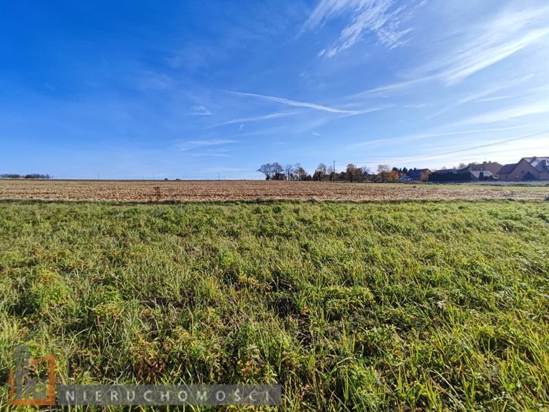 Działka inna na sprzedaż Cianowice Małe  10 000m2 Foto 1