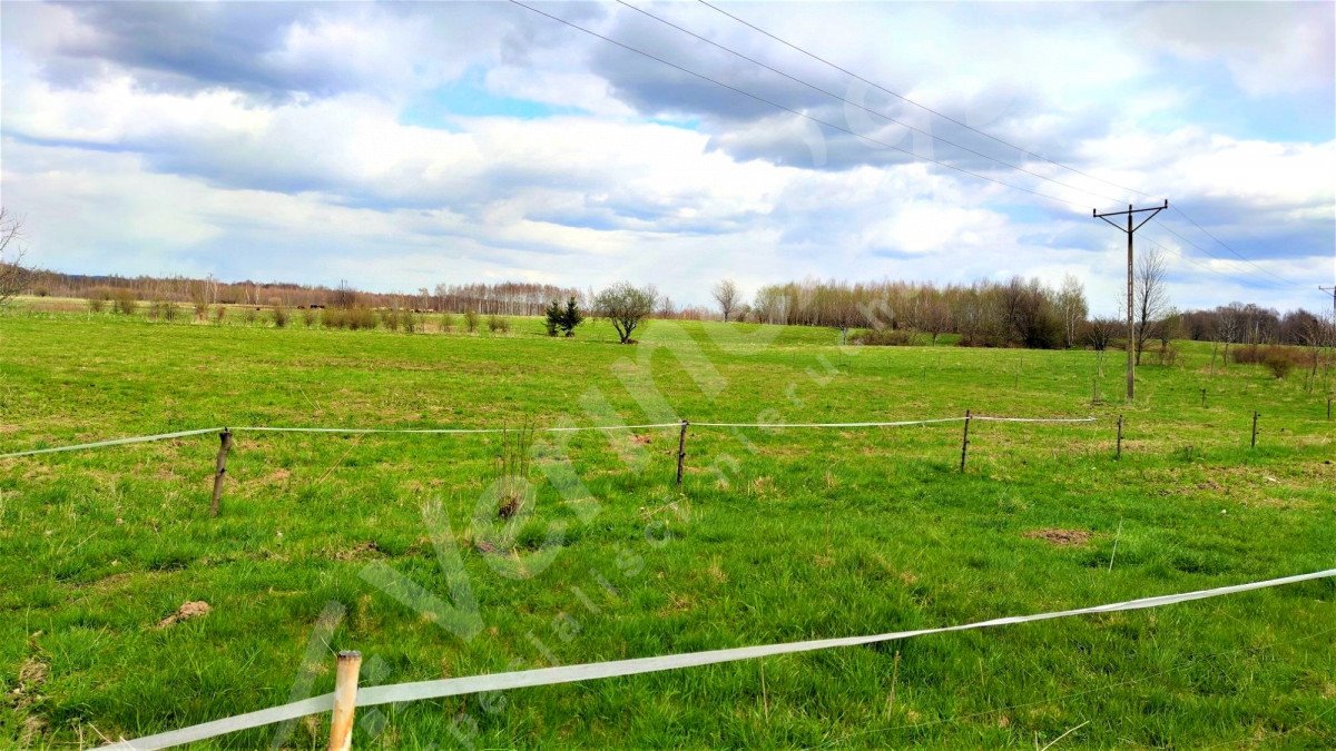 Działka rolna na sprzedaż Krobica  3 000m2 Foto 3