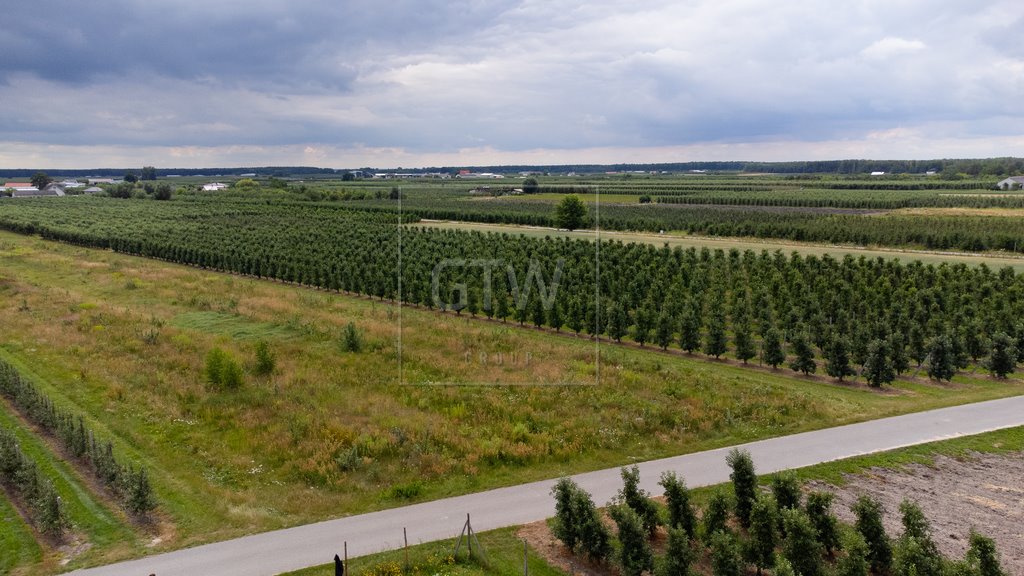 Działka budowlana na sprzedaż Martynów  1 499m2 Foto 6