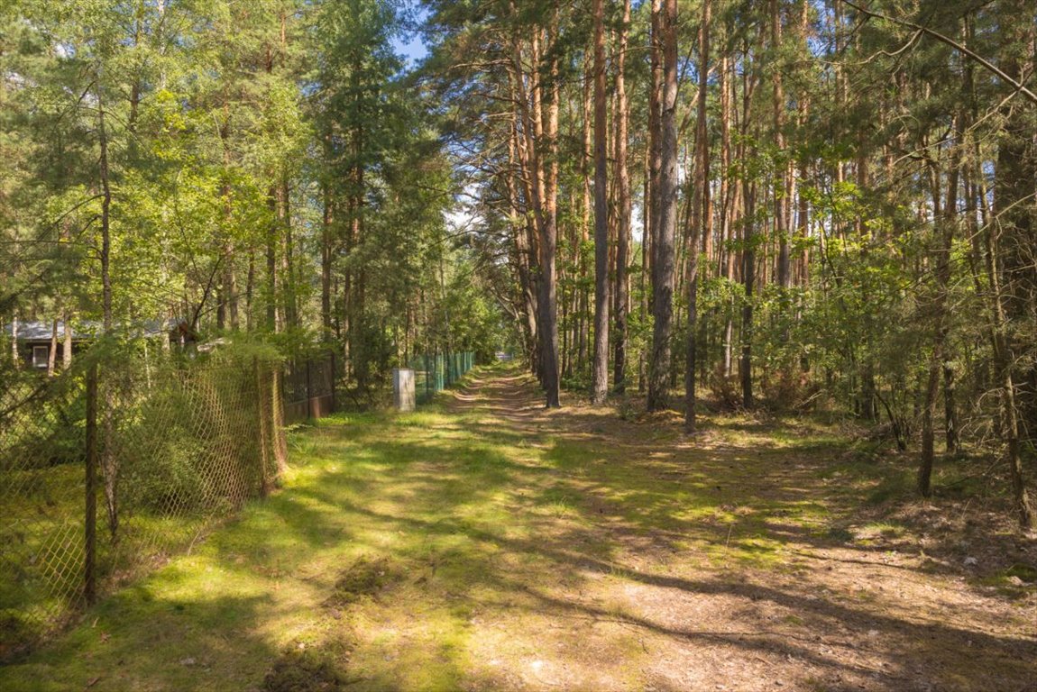 Działka leśna na sprzedaż Ossolin  2 000m2 Foto 4