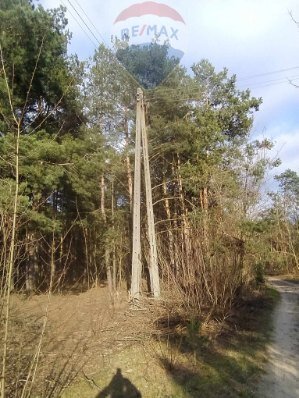 Działka leśna 0,73 ha w Radomiu – inwestycja i spokój Radom  7 307m2 Foto 1