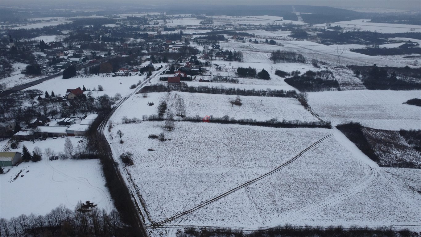 Działka budowlana na sprzedaż Lisów, Leśna  5 336m2 Foto 4