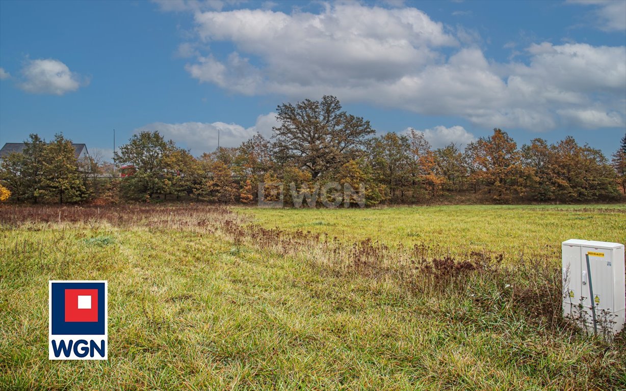 Działka budowlana na sprzedaż Dąbrowa Bolesławiecka, Dąbrowa Bolesławiecka  2 231m2 Foto 9