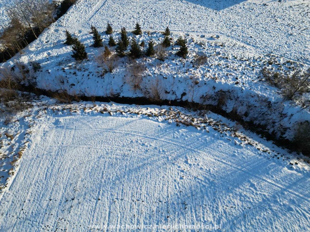 Działka budowlana na sprzedaż Kalina Wielka  4 700m2 Foto 7