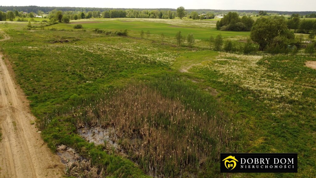 Działka rolna na sprzedaż Gatne Drugie  3 000m2 Foto 5