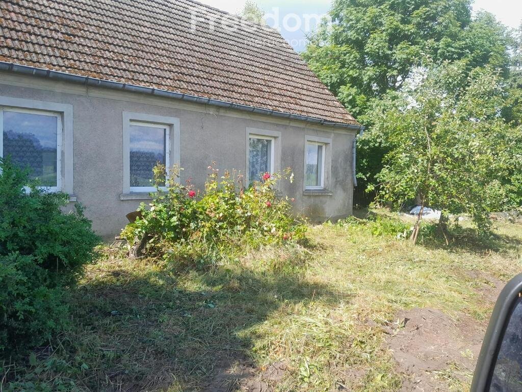 Siedlisko z potencjałem 130 m² - możliwość dokupienia 4 ha Pniewo  130m2 Foto 1