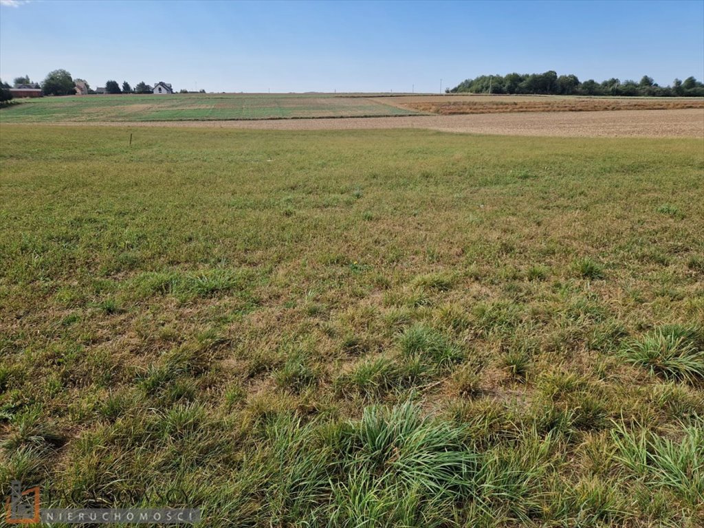 Działka budowlana na sprzedaż Sieciechowice  2 505m2 Foto 5