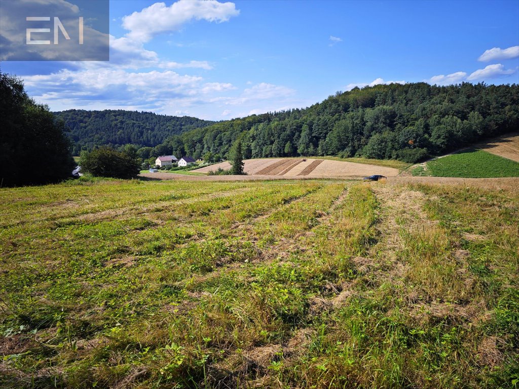 Działka budowlana na sprzedaż Krasna  5 300m2 Foto 5