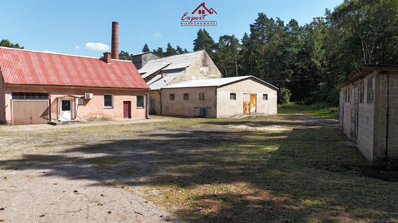 Magazyn na sprzedaż Ogrodzieniec  1 292m2 Foto 20