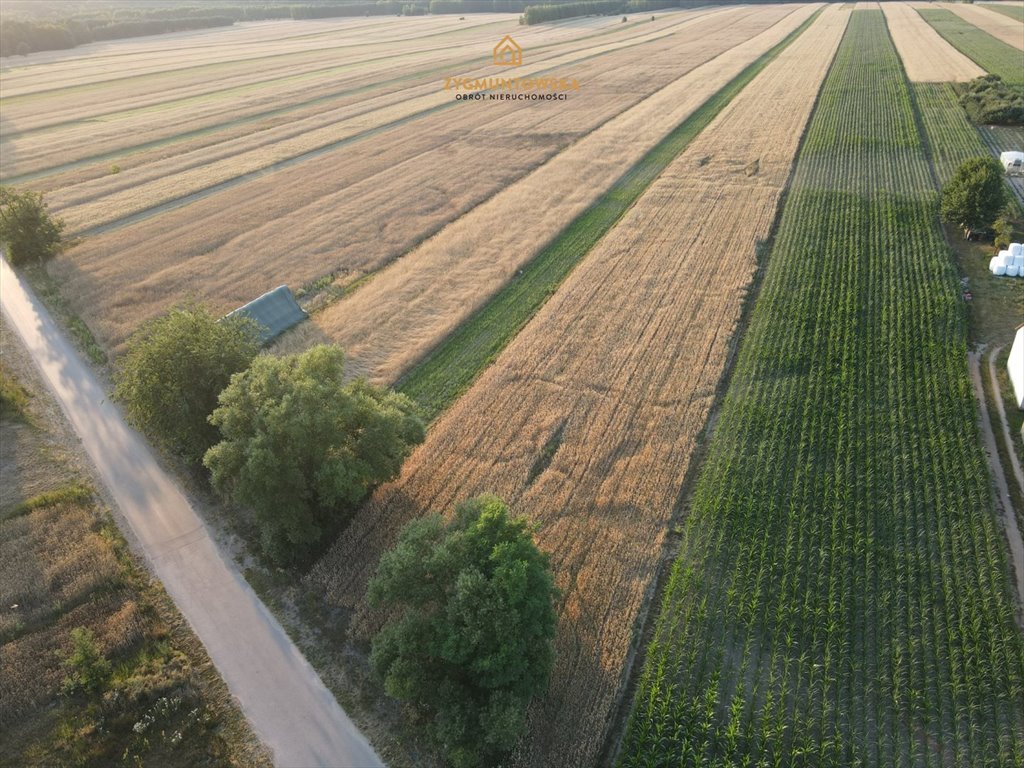 Działka inna na sprzedaż Rusinów, Wola Gałecka  29 800m2 Foto 2