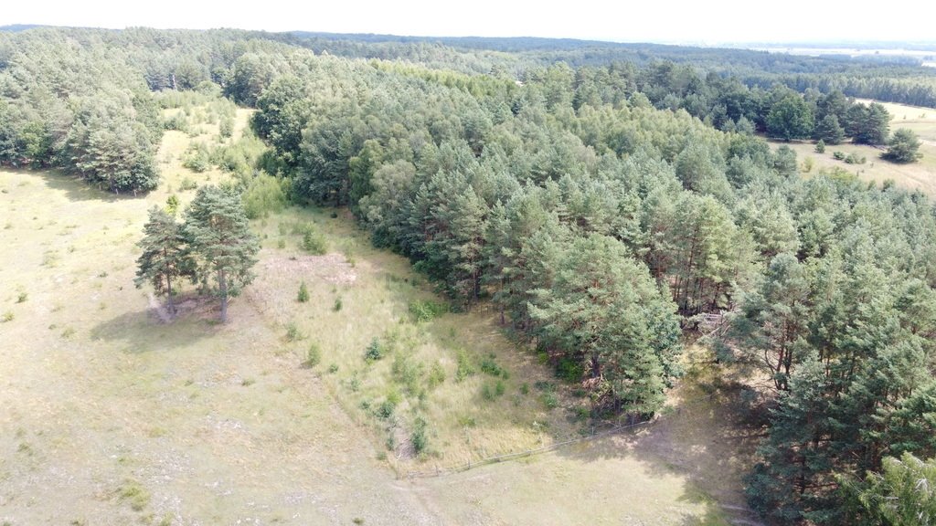 Działka rolna na sprzedaż Górzyska  3 900m2 Foto 4