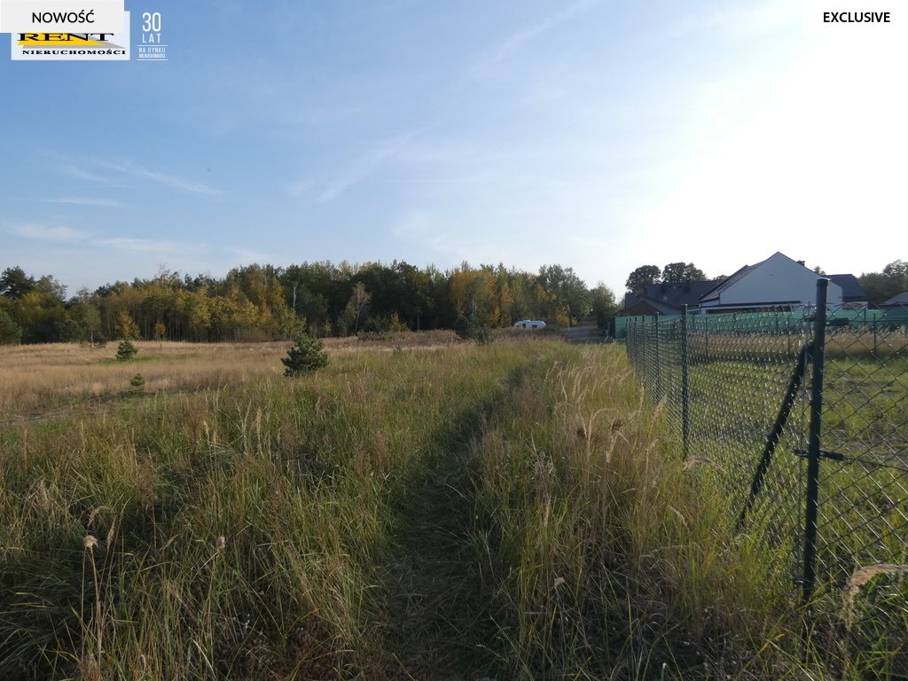 Działka budowlana na sprzedaż Komarowo  1 000m2 Foto 5