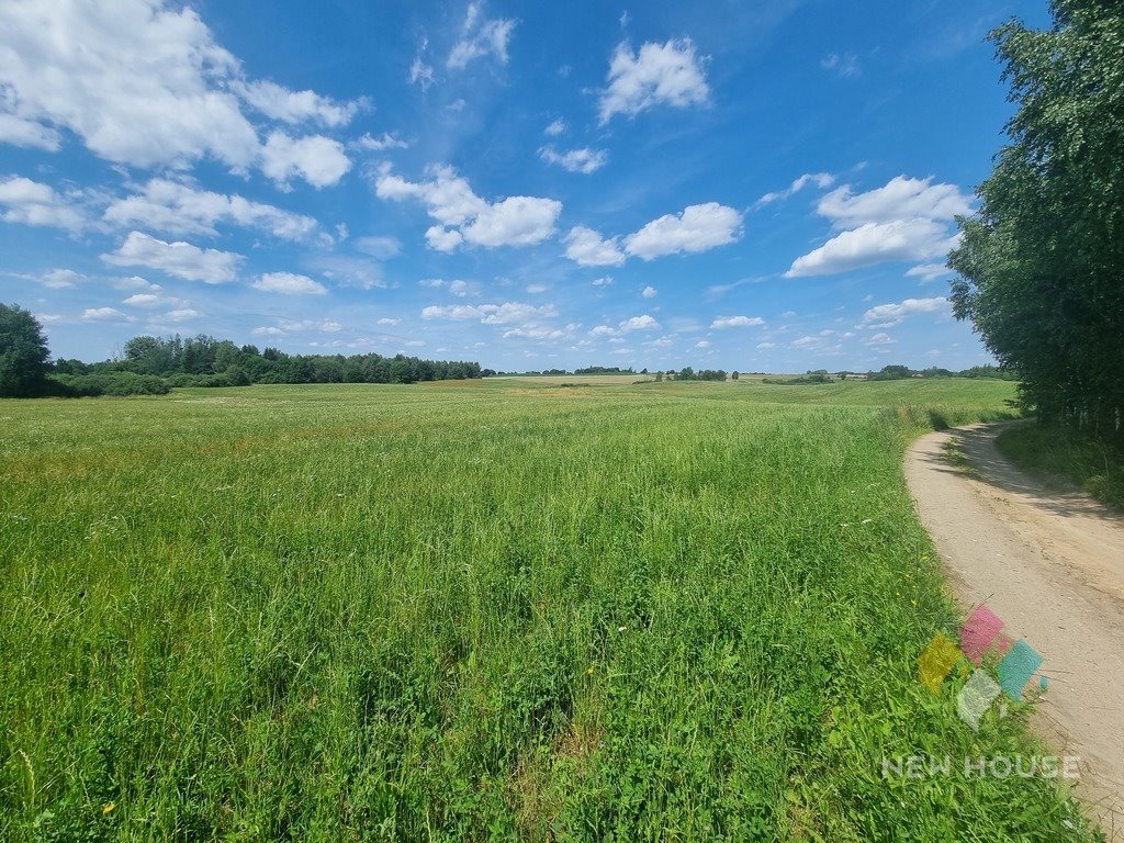 Działka budowlana na sprzedaż Pajtuny  3 193m2 Foto 8