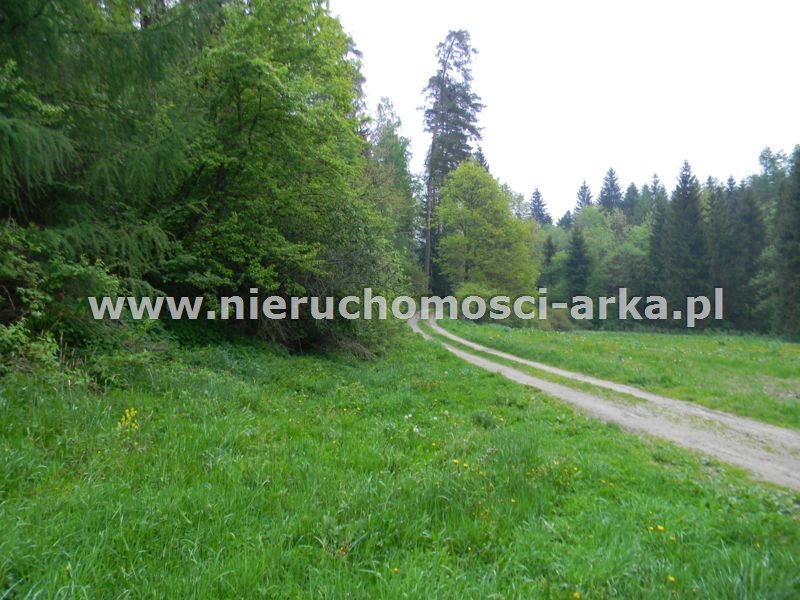 Działka leśna na sprzedaż Rabka-Zdrój 27 000m2 Foto 1 Działka leśna na sprzedaż Rabka-Zdrój 27 000m2 Foto 1