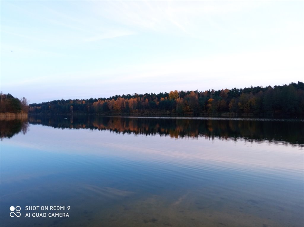 Działka budowlana na sprzedaż Łowicz, Łódzka  6 500m2 Foto 7