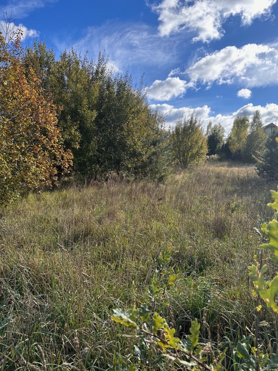 Działka budowlana na sprzedaż Warzno  1 093m2 Foto 2