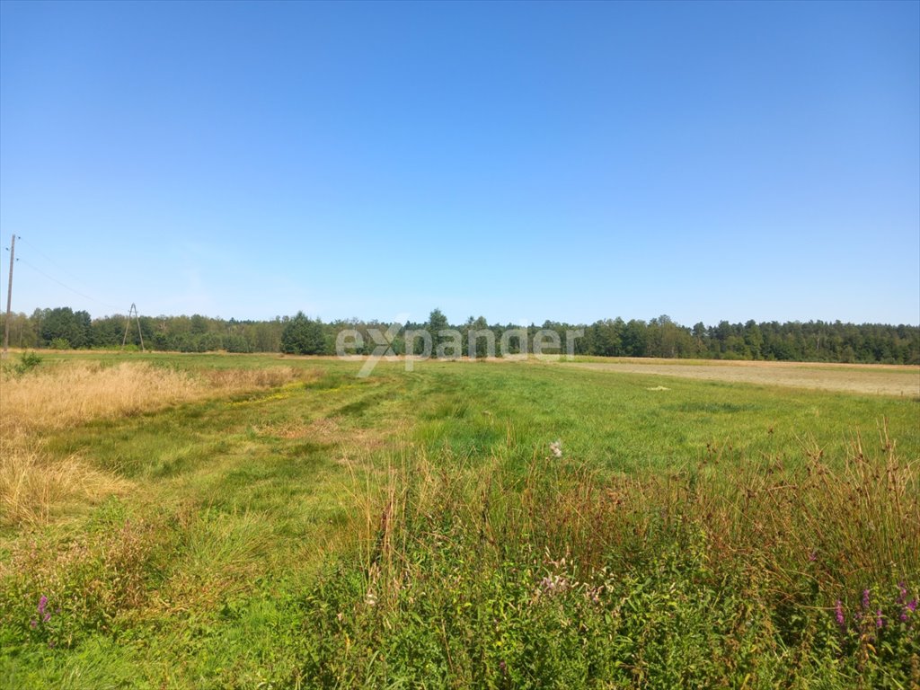 Działka rolna na sprzedaż Likiec  16 300m2 Foto 1